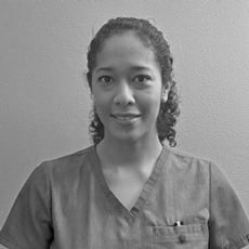 Eleiska Herrera de Salvatierra, DDS